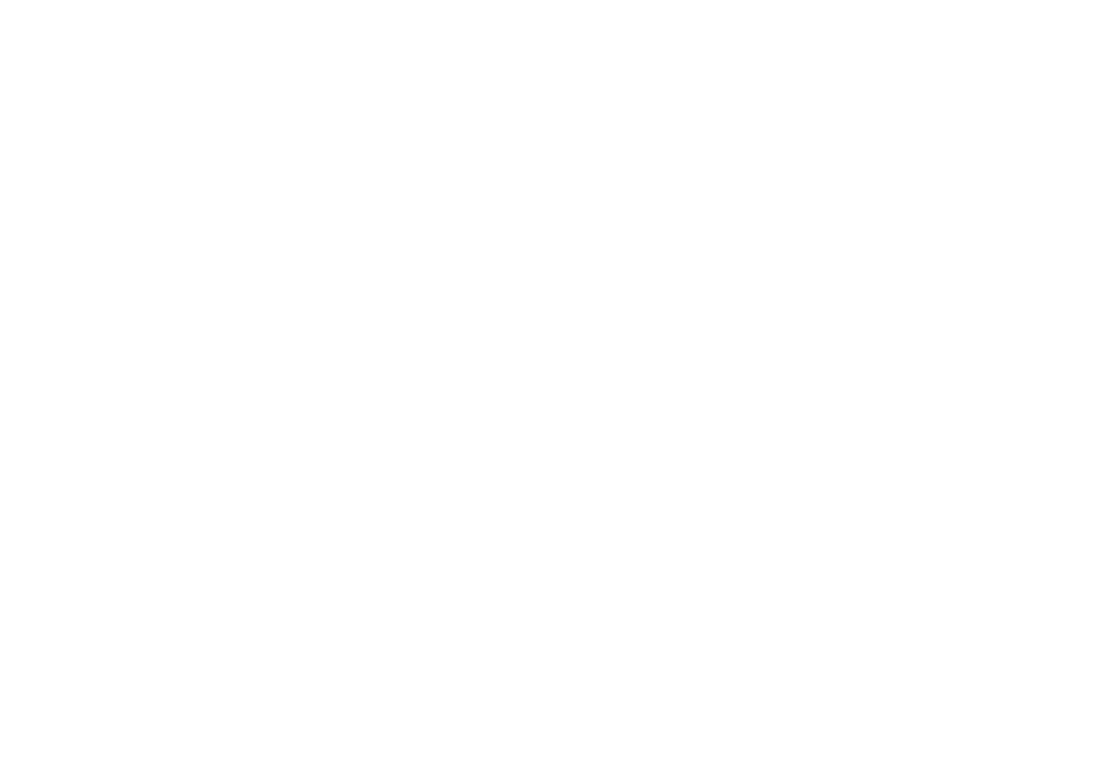 Central Cargo - by Taak Web Agency Prato