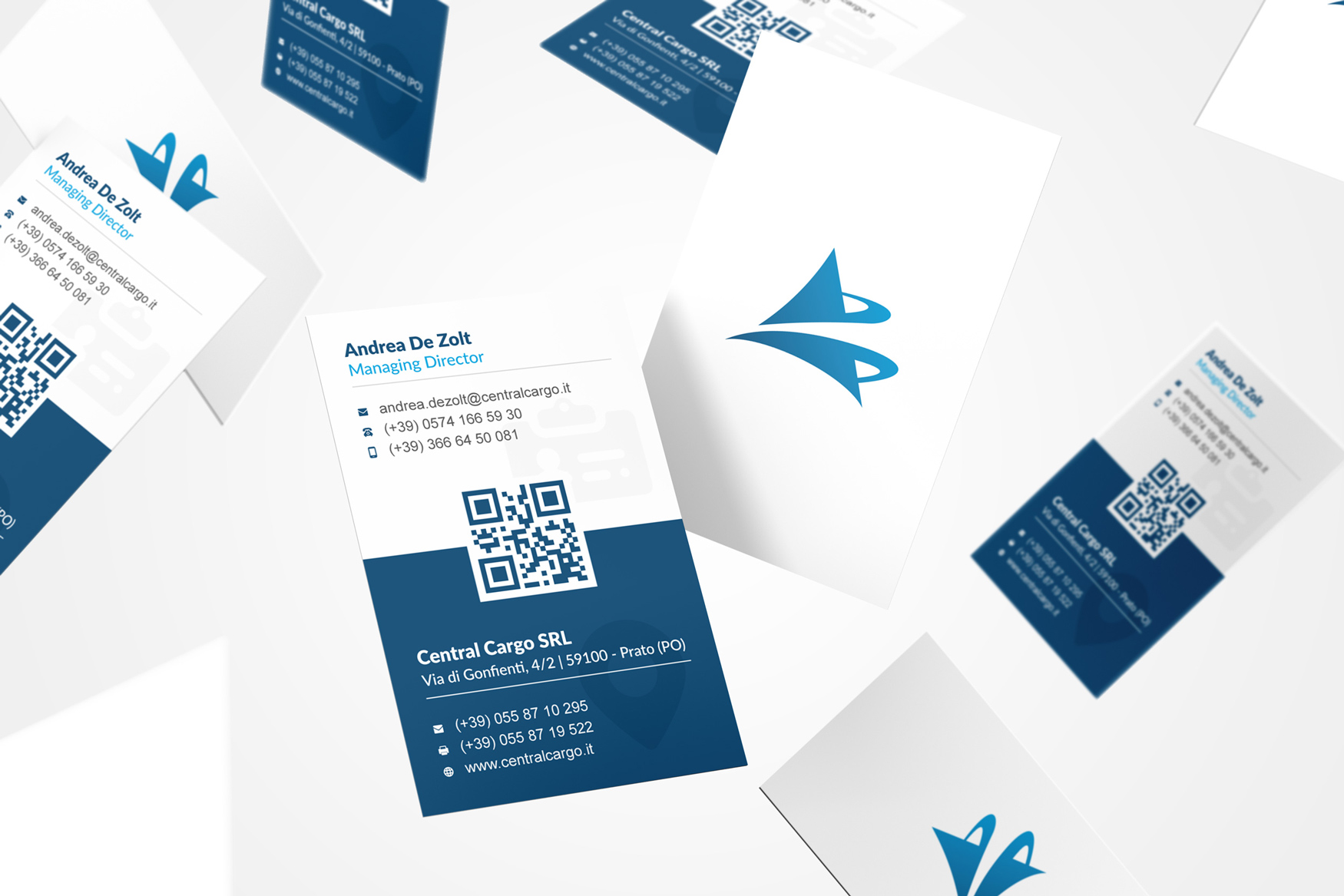 Central Cargo Taak Web Agency Sito Web Graphic